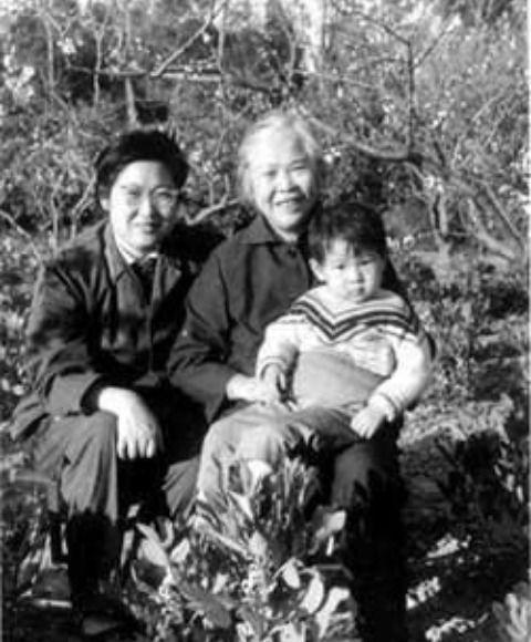 伊人久久精品无码AV一区二区三区