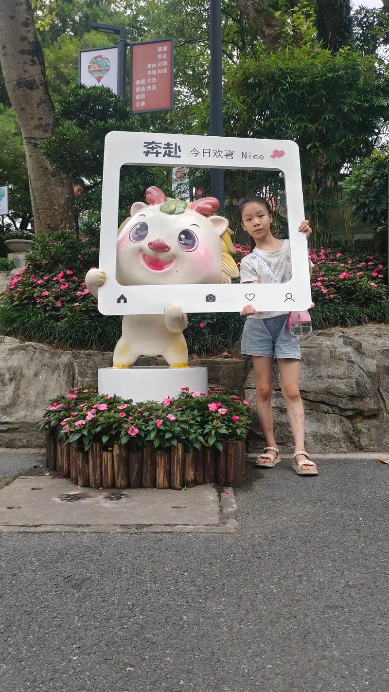 似乎视频 使用体验在实际测试中