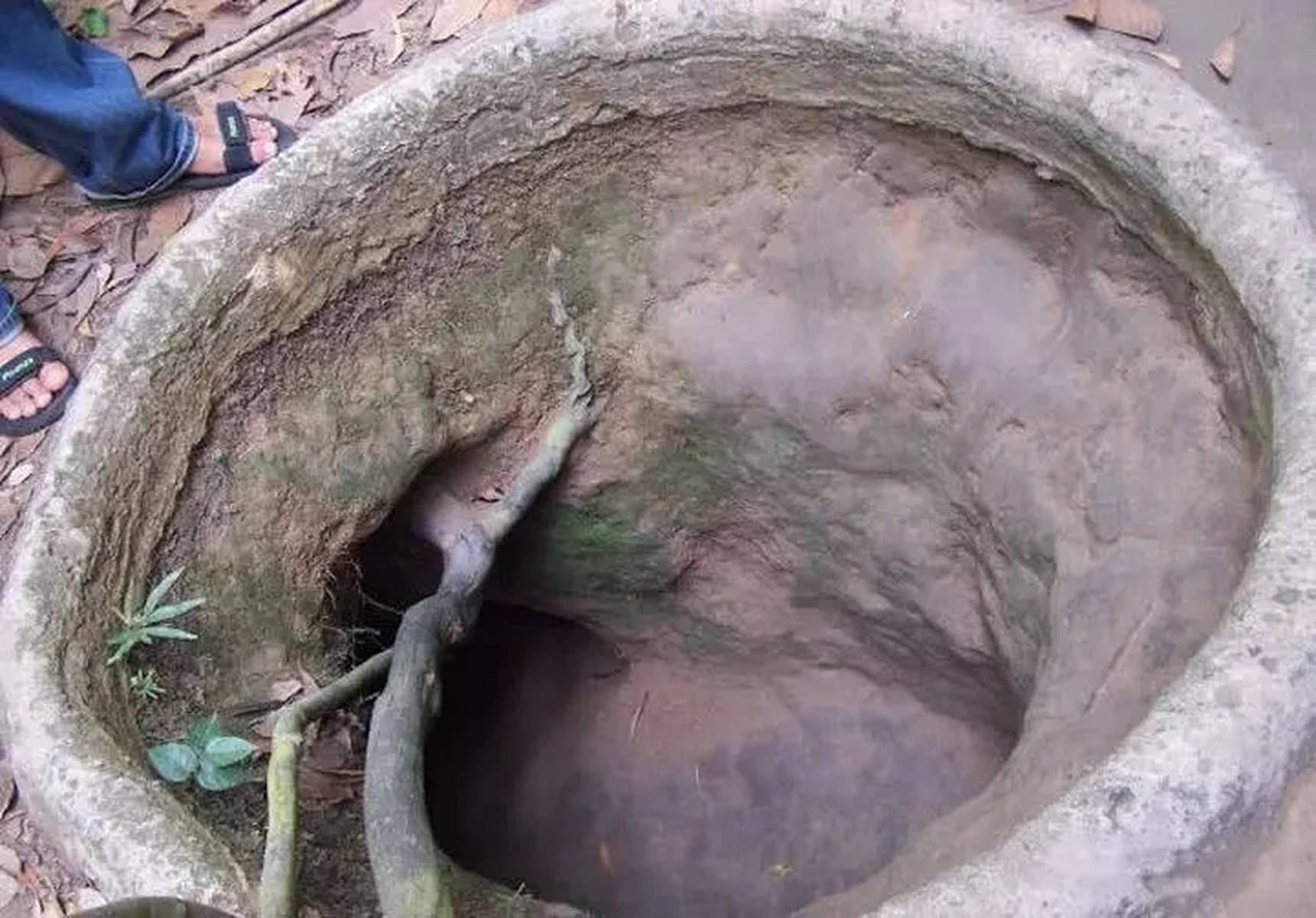 久艾草在线精品视频在线观看