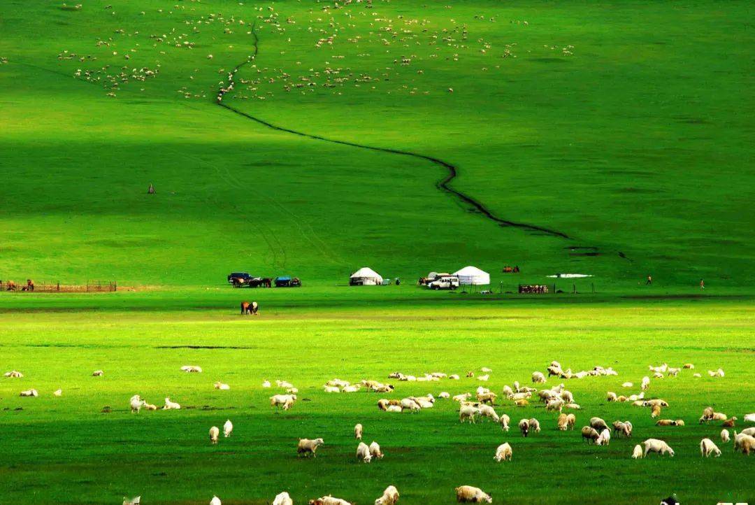 91唐先生舞蹈生系列 风格侧重：内容虽多元