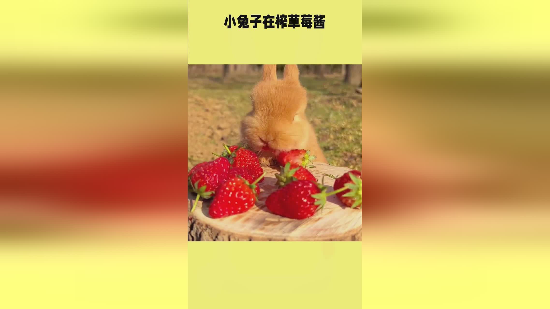 男同壮受漫画 男同快看等)或社区