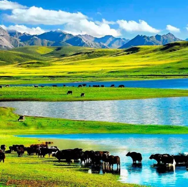 啄木鸟电影教师在线观看