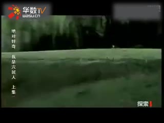 中国最大成网人站免费 确保网址正确是中国最关键