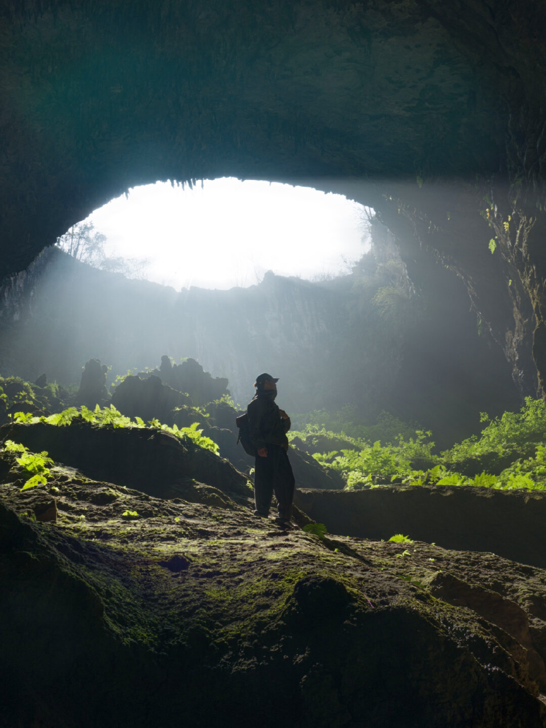 一群小马拉着大车的合影 这不像是马拉一场繁重的劳作