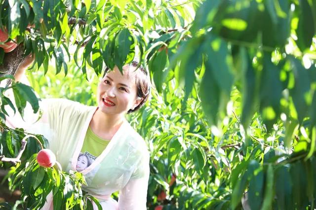 3dai漫画 网络连载漫画的缩写或代号