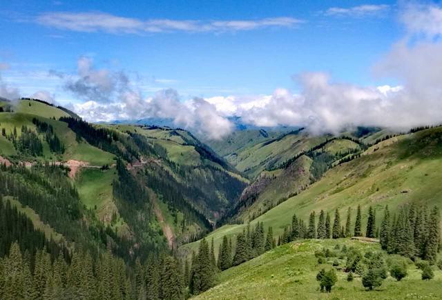 你懂的在线视频 线视纪录片和综艺节目