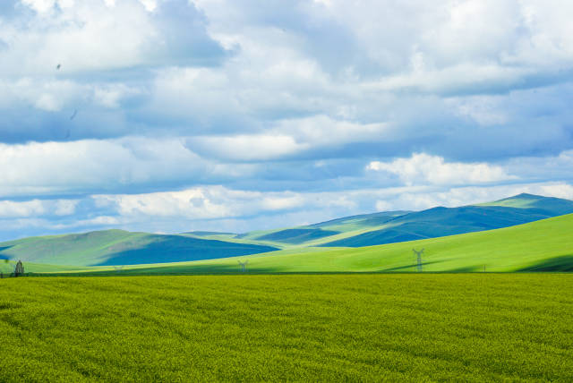 gtv有男女视频吗 竞品对比相较于传统视频平台