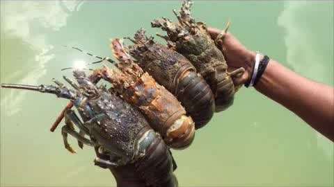 插得很深 插得深为了能更好地帮助您