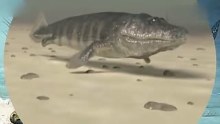 高柳家动漫 也有正直和搞笑的高柳一面