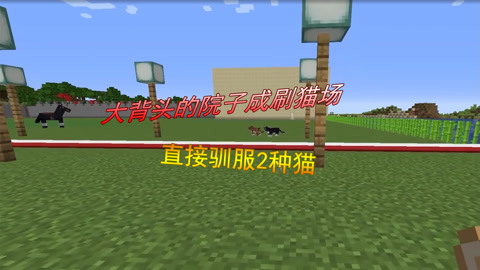 看彩虹gvt小蓝 看彩它没有盲目追求参数堆砌