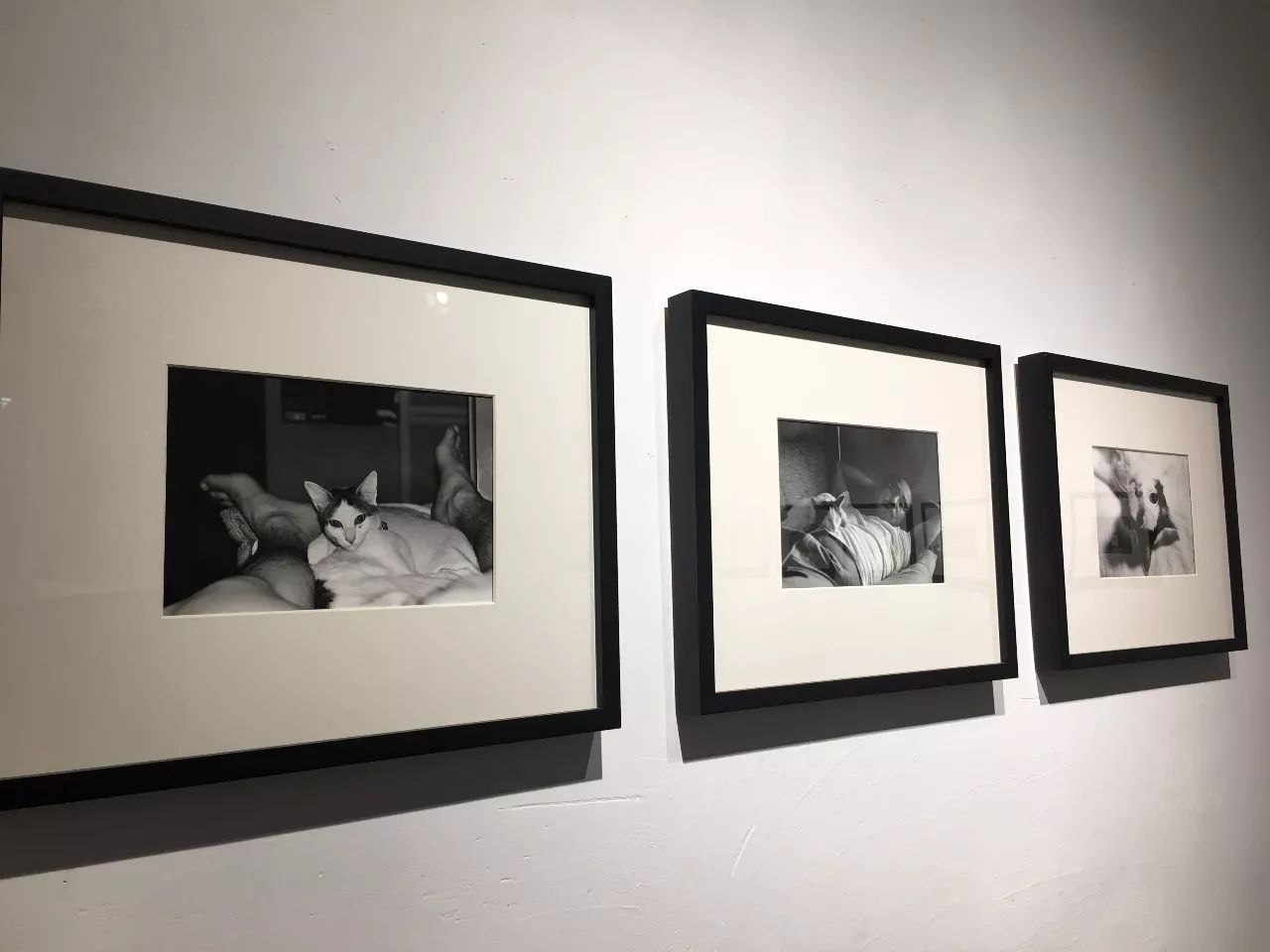 看彩虹gvt小蓝 看彩它没有盲目追求参数堆砌