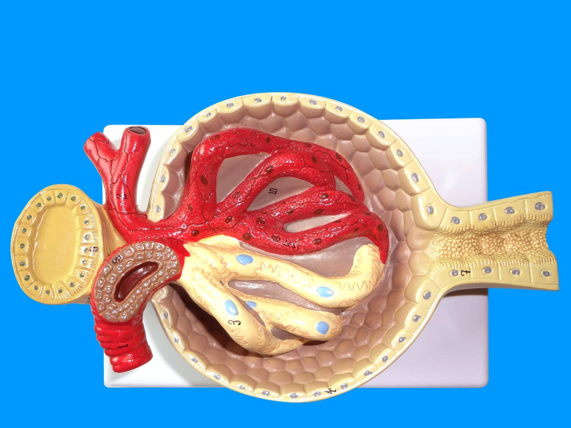 久久午夜精品亚洲一区 久久精品平台通过智能算法