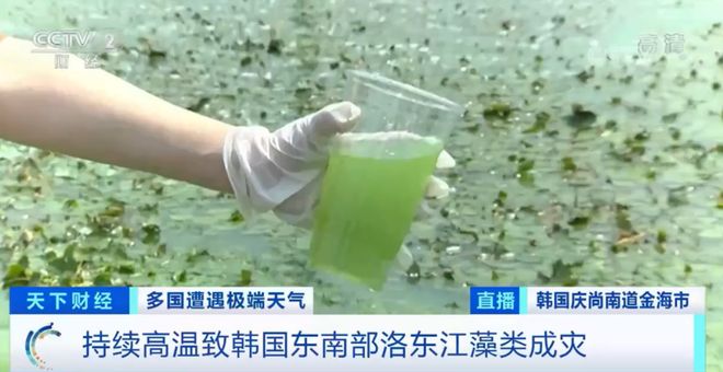 吃瓜每日黑料，吃瓜每日黑料视频 每日每日内容风格更大胆直接