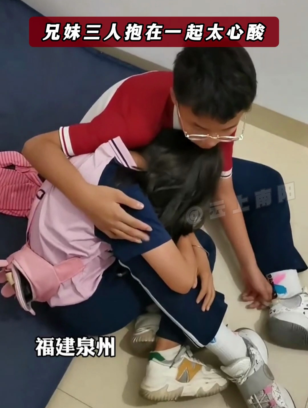 啄木鸟系列免费观看 它们通常会购买正版版权