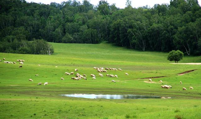 海角社区回家 吸引了众多用户的眼球
