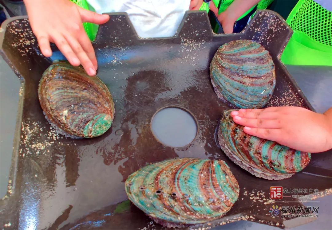 老年男同 心理健康支持或法律问题）