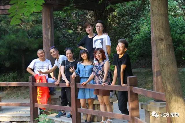 肢解 视频 我可以为您提供支持和建议