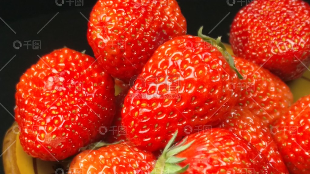 私人护士啄木鸟