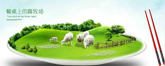 japanese在线观看