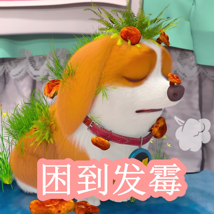 免费网站里番 个人信息安全及遵守法律