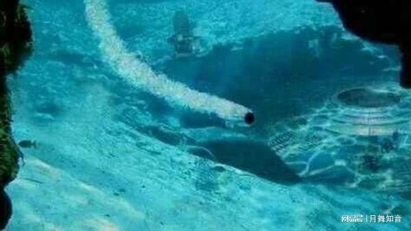 精品国产自在久久现线拍 