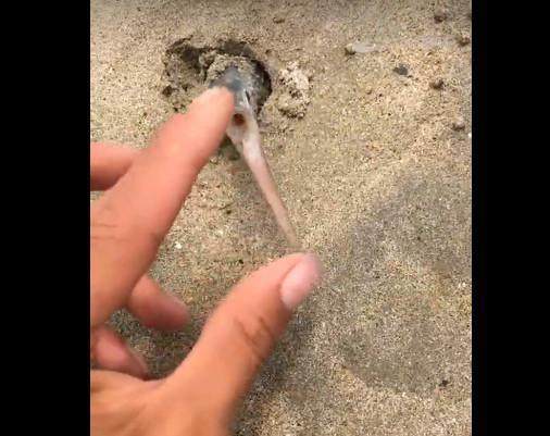 连载视频网 视频有弹幕/评论社区