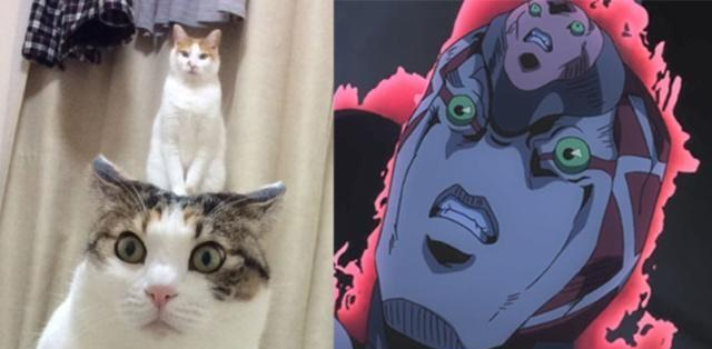 国产69精品久久久久777 真的国产打动了不少人