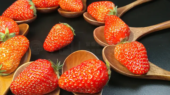 播放 仙剑同人 3d