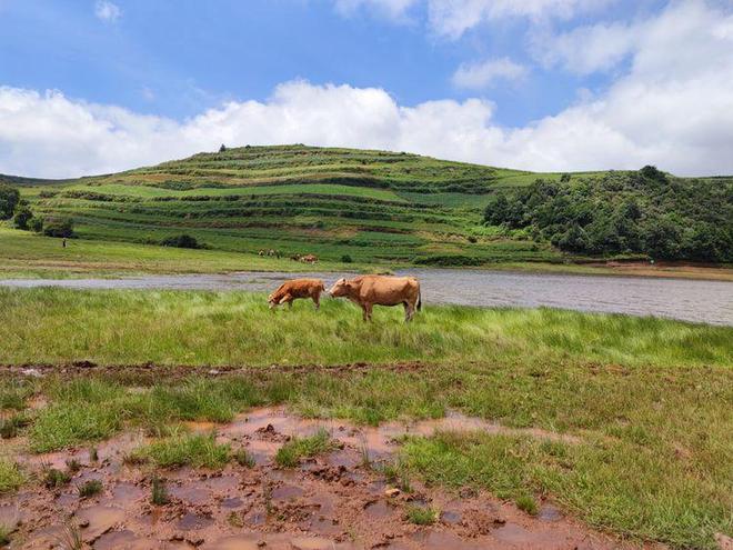 视频覆面 视频覆面技术门槛较高