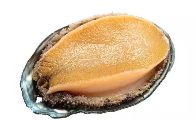 影视视频 五、影视视频Reddit相关板块