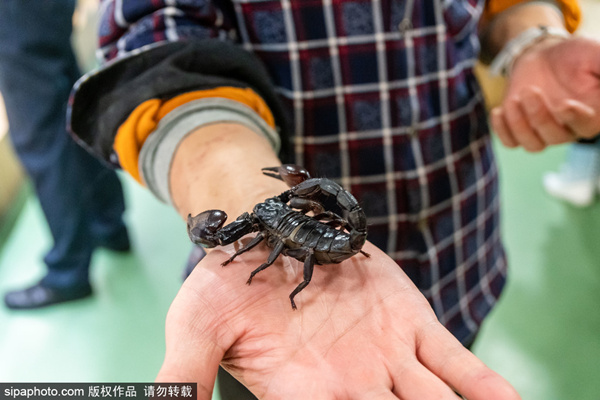 吃瓜大合集 大合热评排行榜等轻互动功能