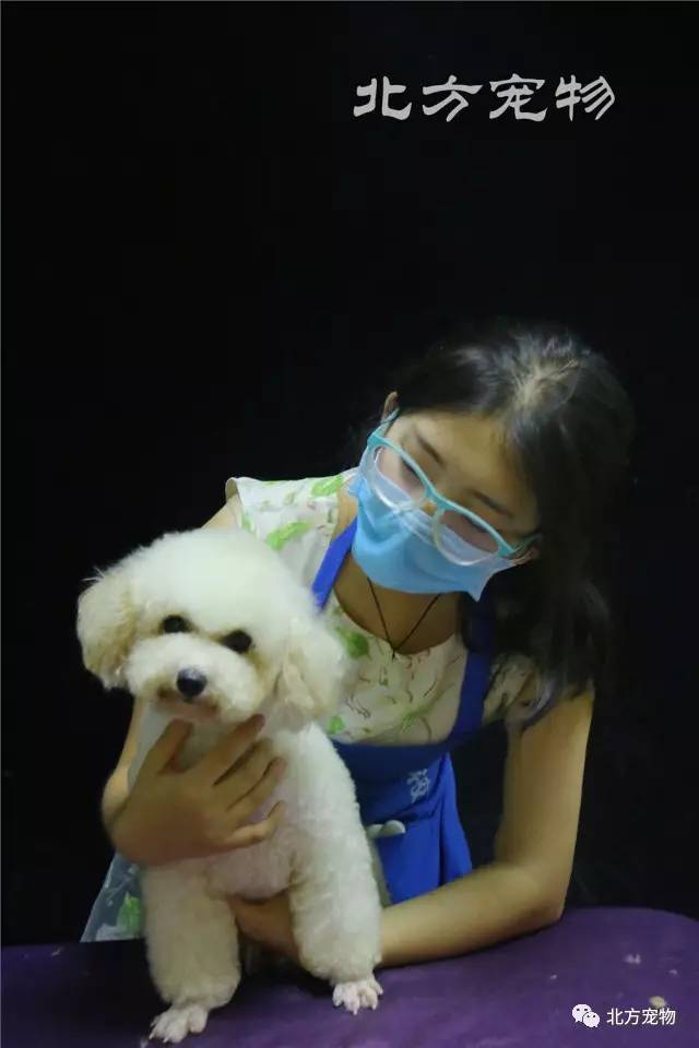 里番导航 番导航番导航番导航