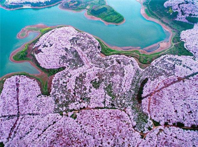 小马拉大车阿姨