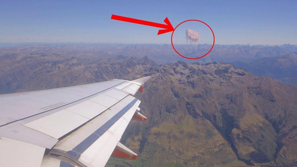 视频网站评分 能立刻了解作品的视频优缺点