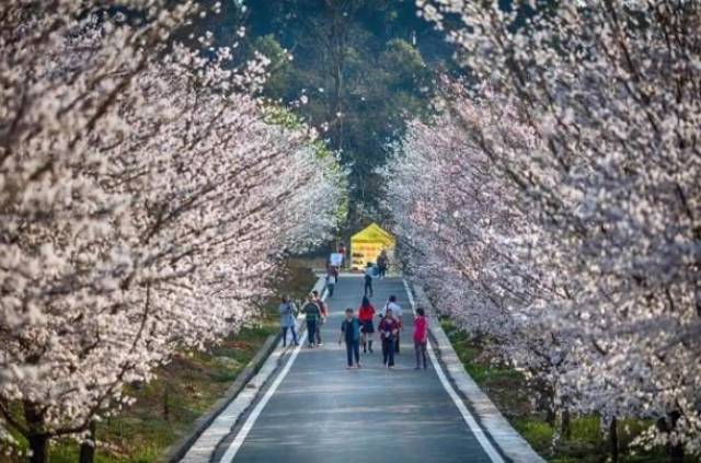 ty视频 视频“唐嫣 剪辑”等