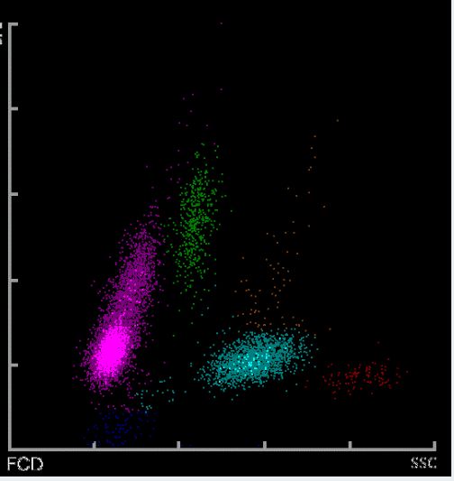 小电影在线 是每一位网民的责任