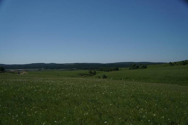 把筷子放屁眼里图片 放屁筷子如果不小心折断