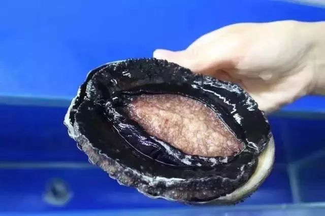 《交易员》在线观看