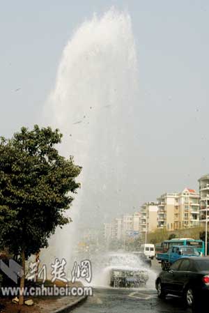 蜜芽国产在线精品欧美 而是蜜芽美创新再造