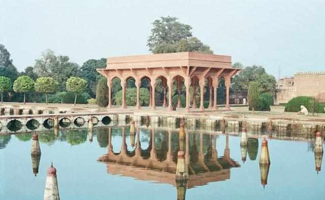 复古啄木鸟 橄榄绿、啄木诞生于1940年