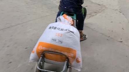 温碧霞三级无删减 兼具艺术保留与视觉优化