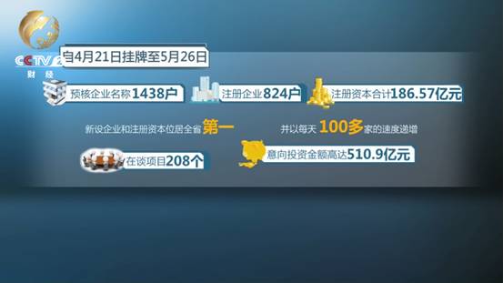 啄木鸟劳拉 啄木声音的鸟劳描绘