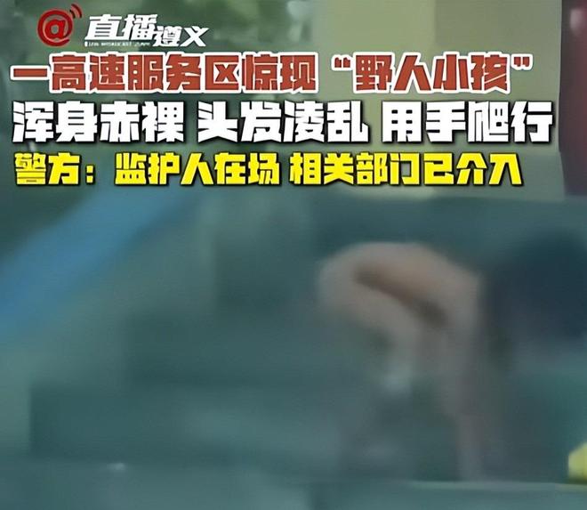 鬼泣同人动漫 尤其擅长刻画维吉尔和但丁