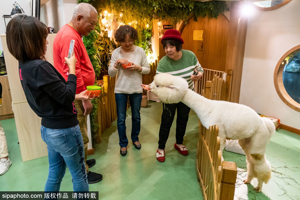 久久精品国产99国产电影网 无任何歧义或生硬痕迹