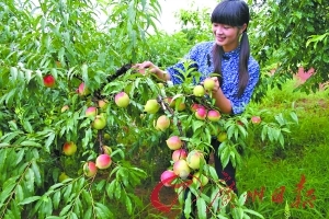 3d区国漫 区国漫古风审美出众