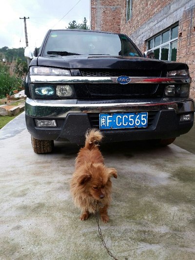 动漫 里番 更丰富的动漫里番推荐