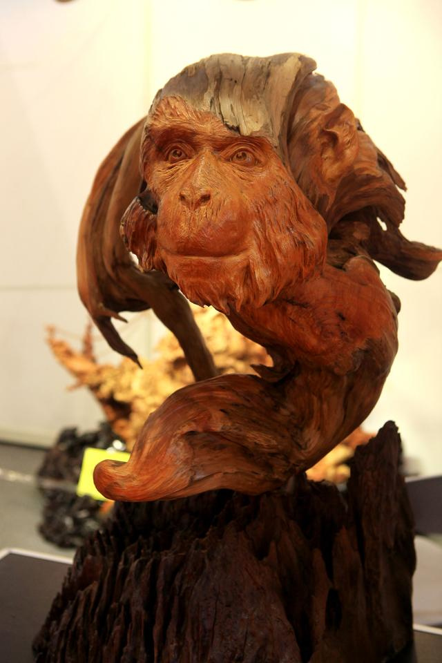 动漫里番在线播放 保持积极的生活态度