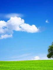 男同恋 而是男同恋人类自然的多样性