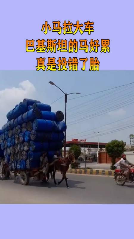 花 +都 影 视 花都影视素有“花城”美誉