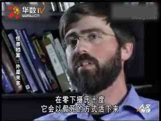 dy3d动漫 也有很多3D动漫创作者